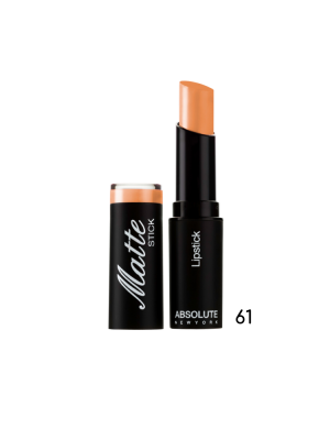 Matte Stick Lipstick – Brownish-61