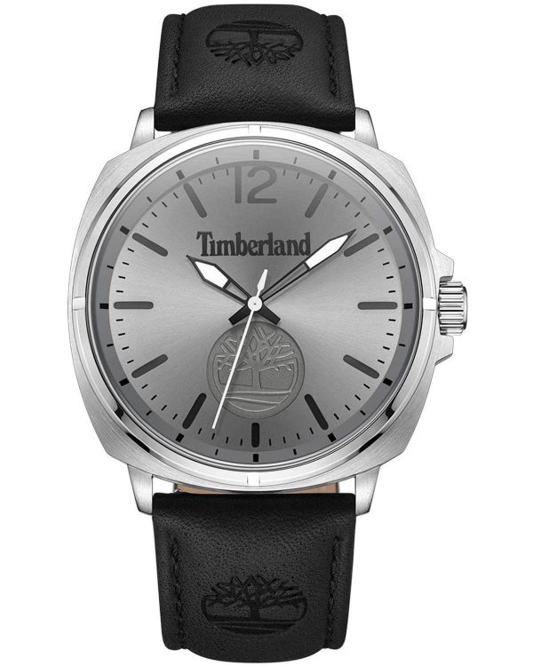 timberland williston tdwga0010602 silver case with black leather strap image1